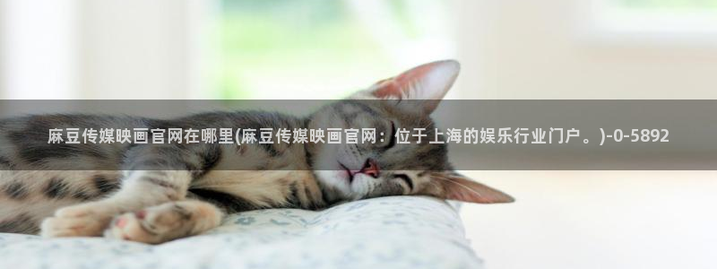 麻豆视频投稿交流