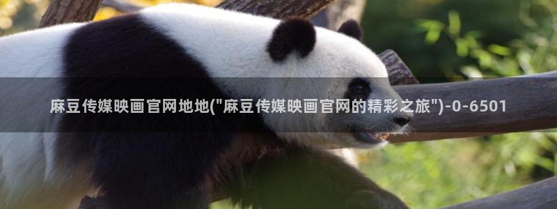 麻豆标题库