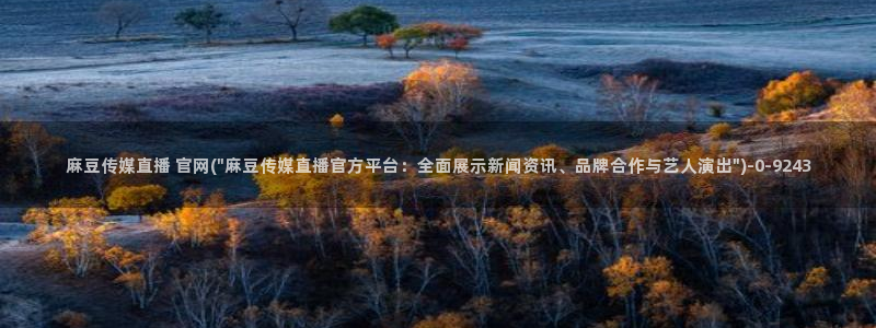 麻豆视频图片规则
