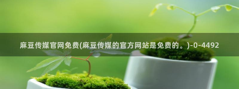 麻豆传媒精选