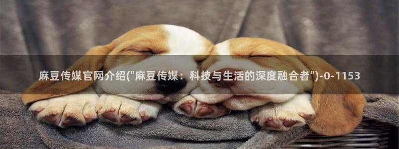 麻豆入门指南