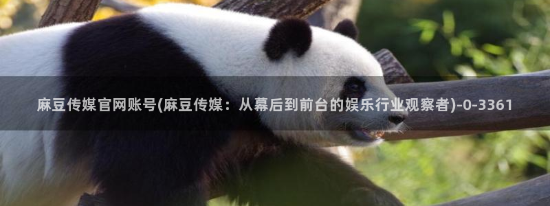 麻豆视频栏目规划