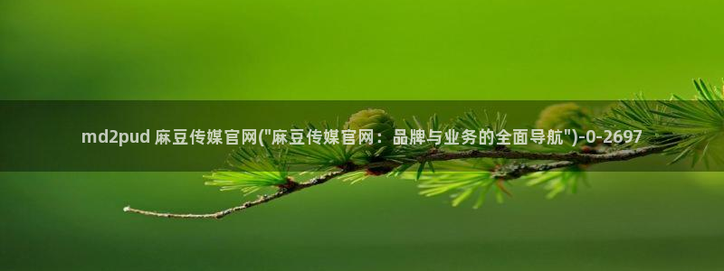麻豆视频文章内容