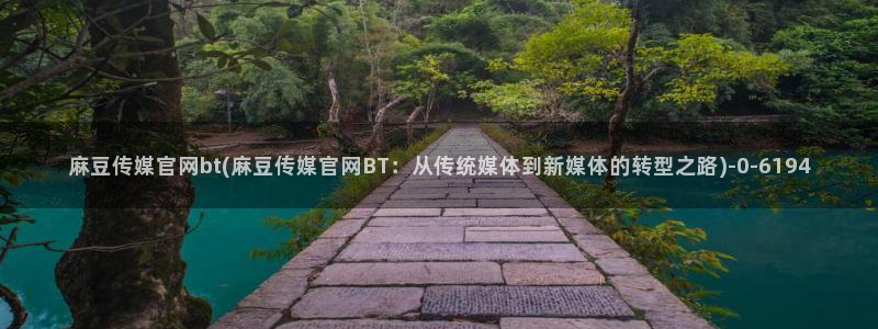 麻豆SEO模板