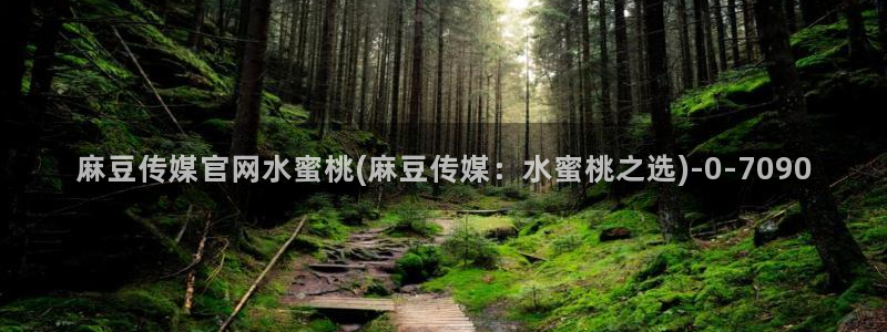 麻豆片单推荐