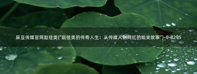 麻豆视频分类名称