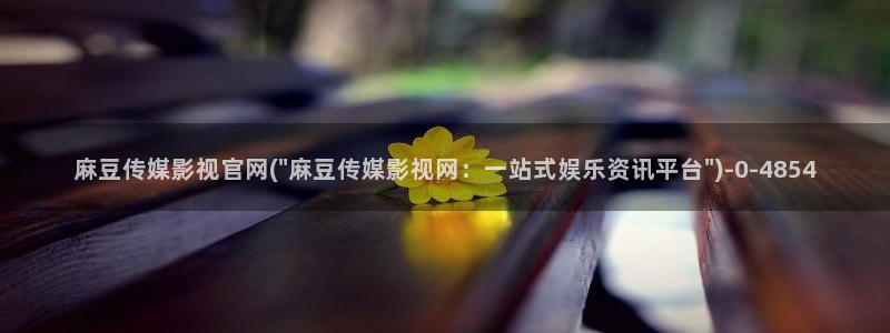 麻豆视频首页文案