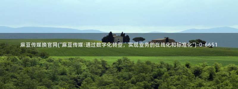 麻豆专题标题