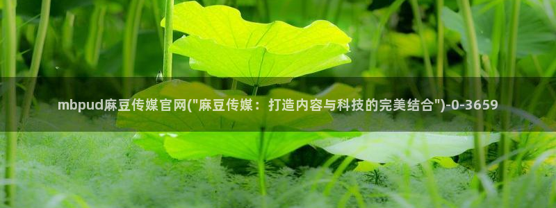 麻豆内容优化