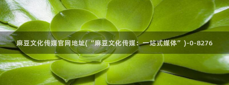 麻豆视频相关搜索