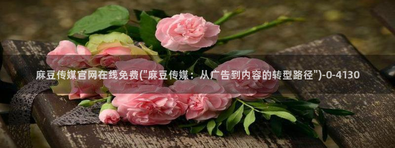麻豆视频长尾词