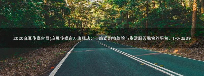 麻豆资讯描述