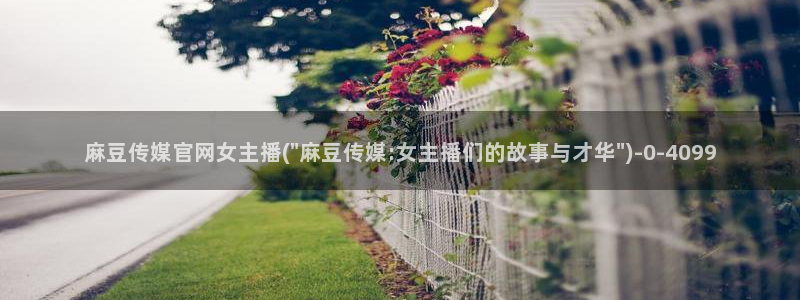 麻豆视频内容质量