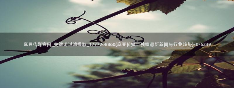 麻豆描述库