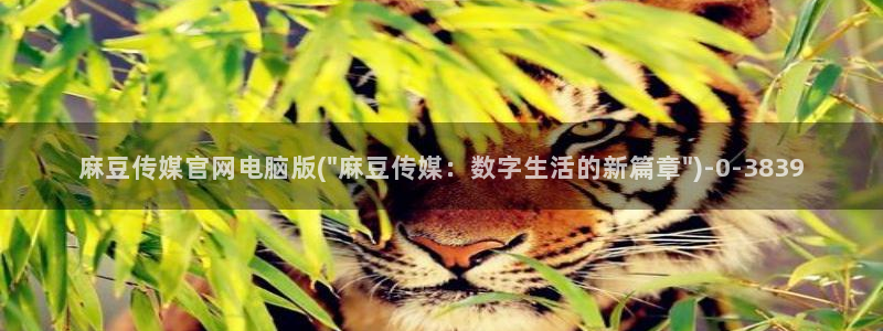 麻豆视频分类名称