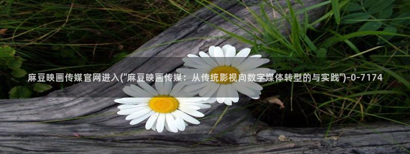 麻豆精选描述：麻豆映画传媒官网进入(\