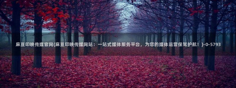 麻豆视频站群文案：麻豆印映传媒官网(麻豆印映传媒网站：一站式媒体服务平台