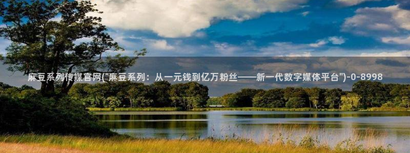 麻豆视频模板标签