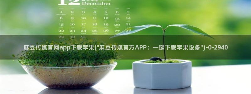 麻豆视频页面描述