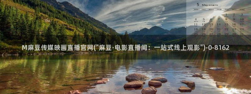 麻豆视频点评