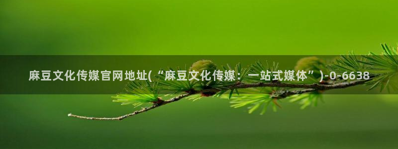 麻豆剧情描述