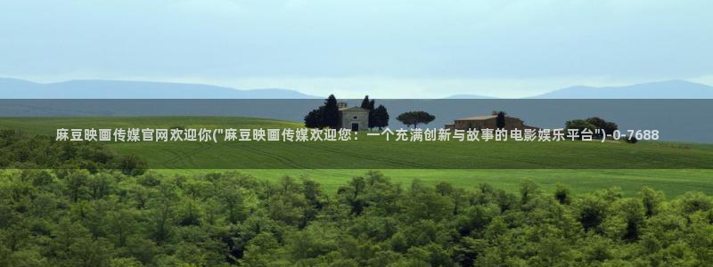 麻豆视频页面描述
