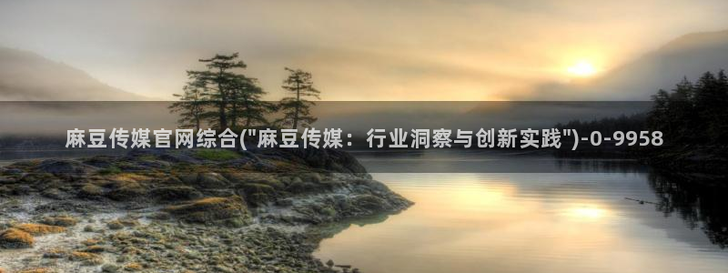 麻豆视频资料文案